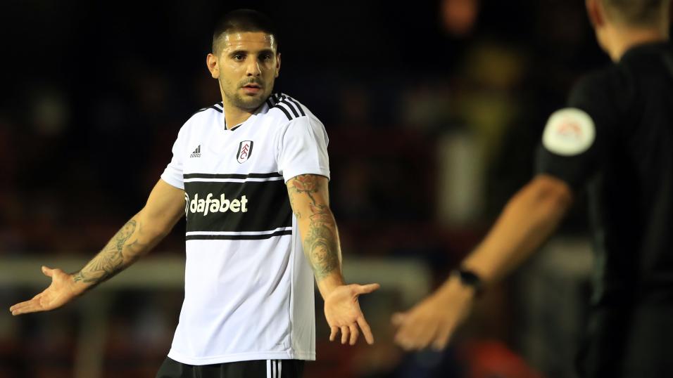 Aleksandar Mitrovic